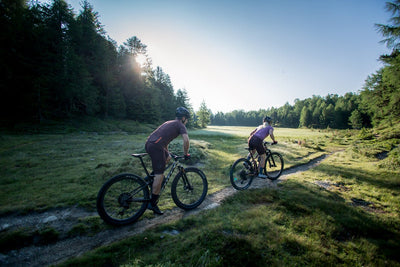 E-Bike Technik Auffrischung - Sporthaus Edinger